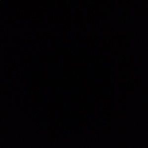 Meet your Posher, Javier